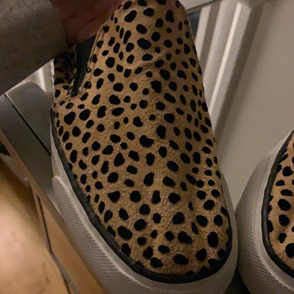 Restricted leopard shoes never worn